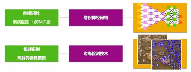 SAP系統智慧養雞案例